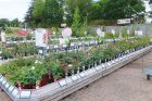 Burston Garden Centre